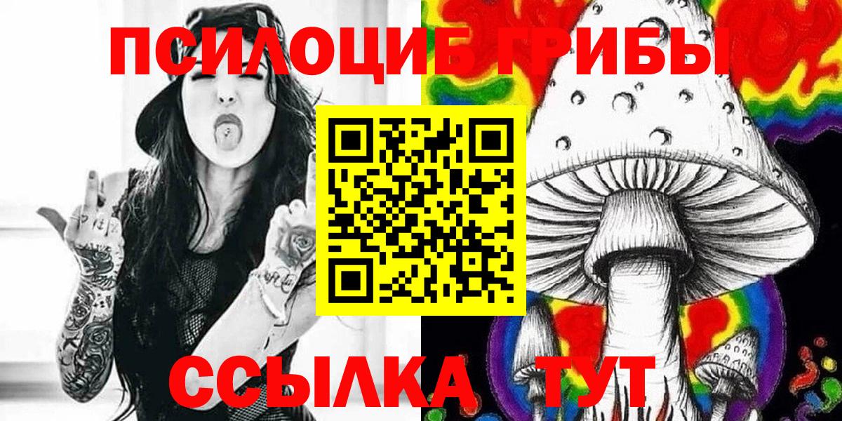 Псилоцибиновые грибы Psilocybe  Вход с VPN  Астрахань 